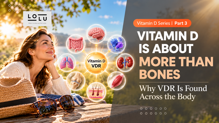 Vitamin D Is About More Than Bones: Why Vitamin D Receptors Are Found Across the Body