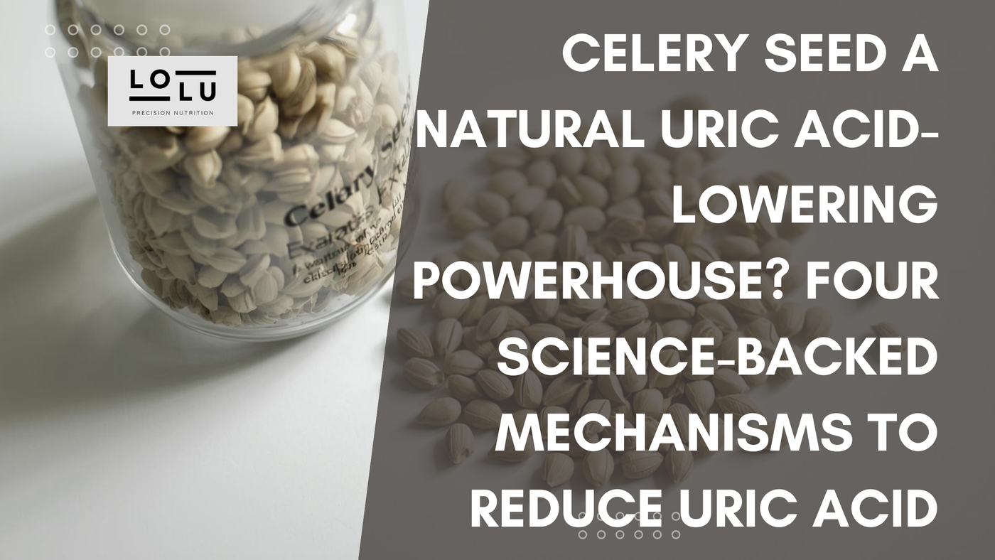 Celery Seed a Natural Uric Acid-Lowering Powerhouse? Four Science-Backed Mechanisms to Reduce Uric Acid and Protect Your Joints