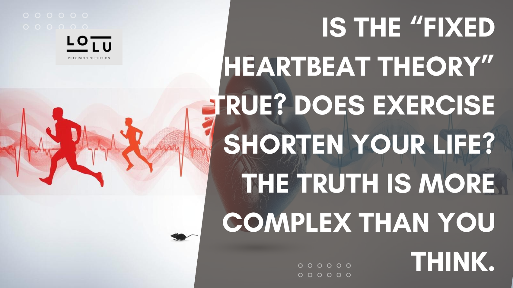 Is the “Fixed Heartbeat Theory” True? Does Exercise Shorten Your Life? The Truth Is More Complex Than You Think.