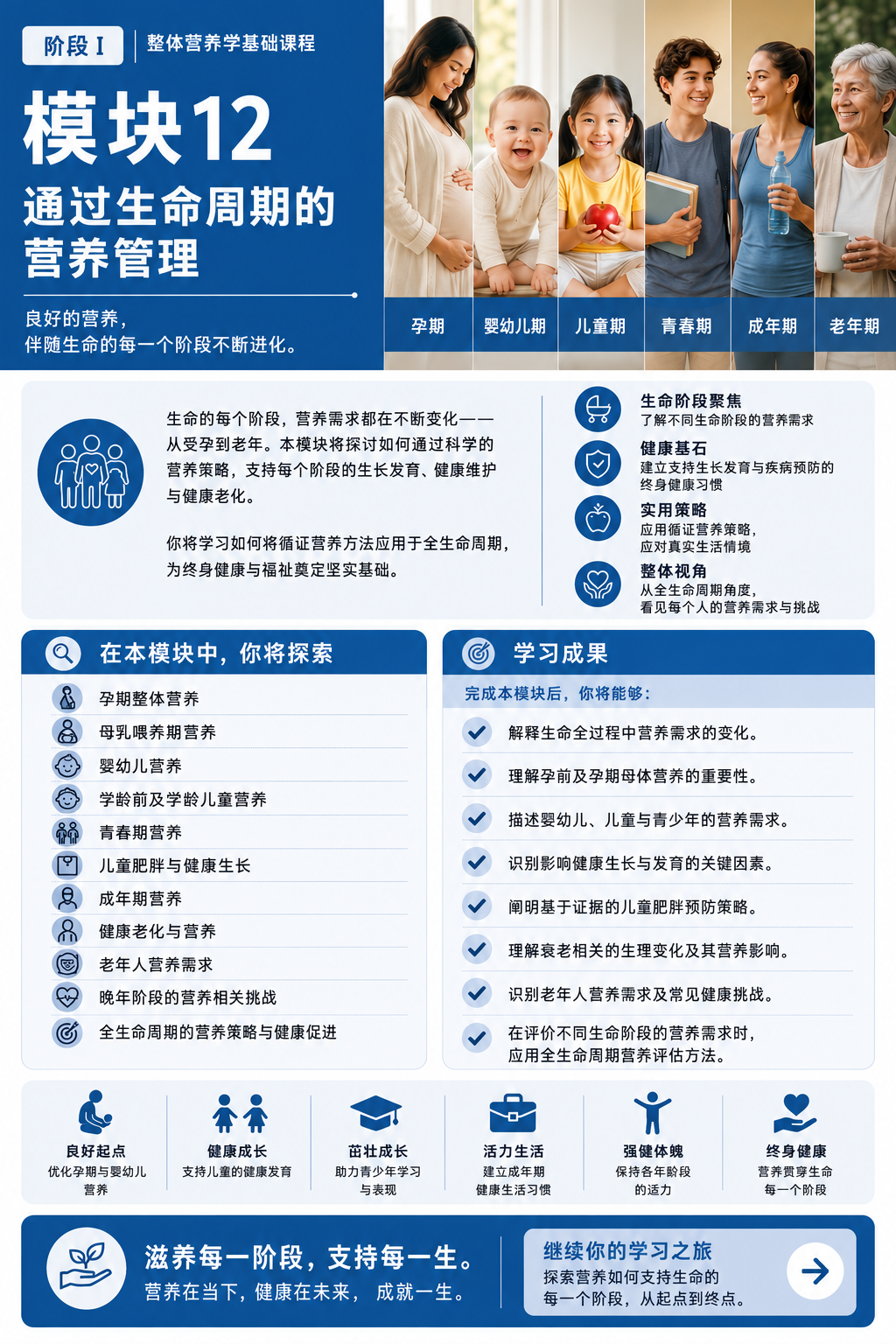 模块 12:全生命周期营养——简体中文课程概览