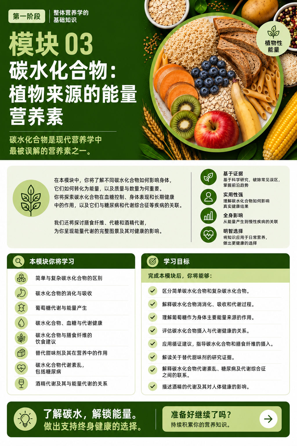 模块 03:碳水化合物:来自植物的供能营养素——简体中文课程概览