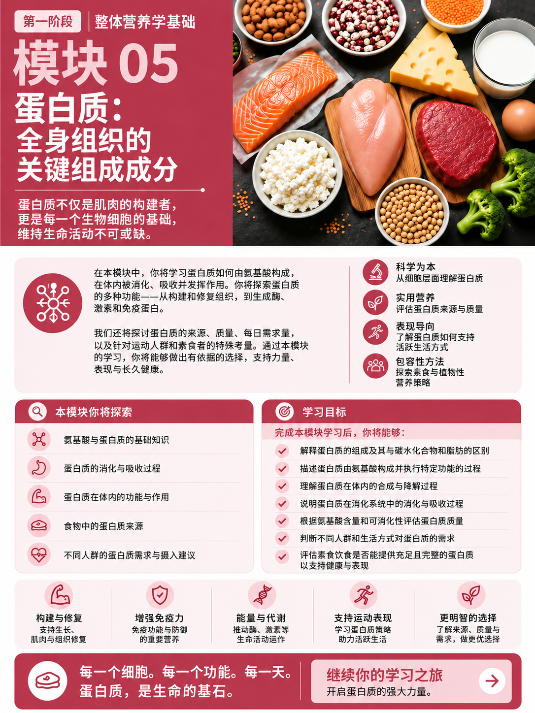 模块 05:蛋白质:构成人体组织的关键成分——简体中文课程概览
