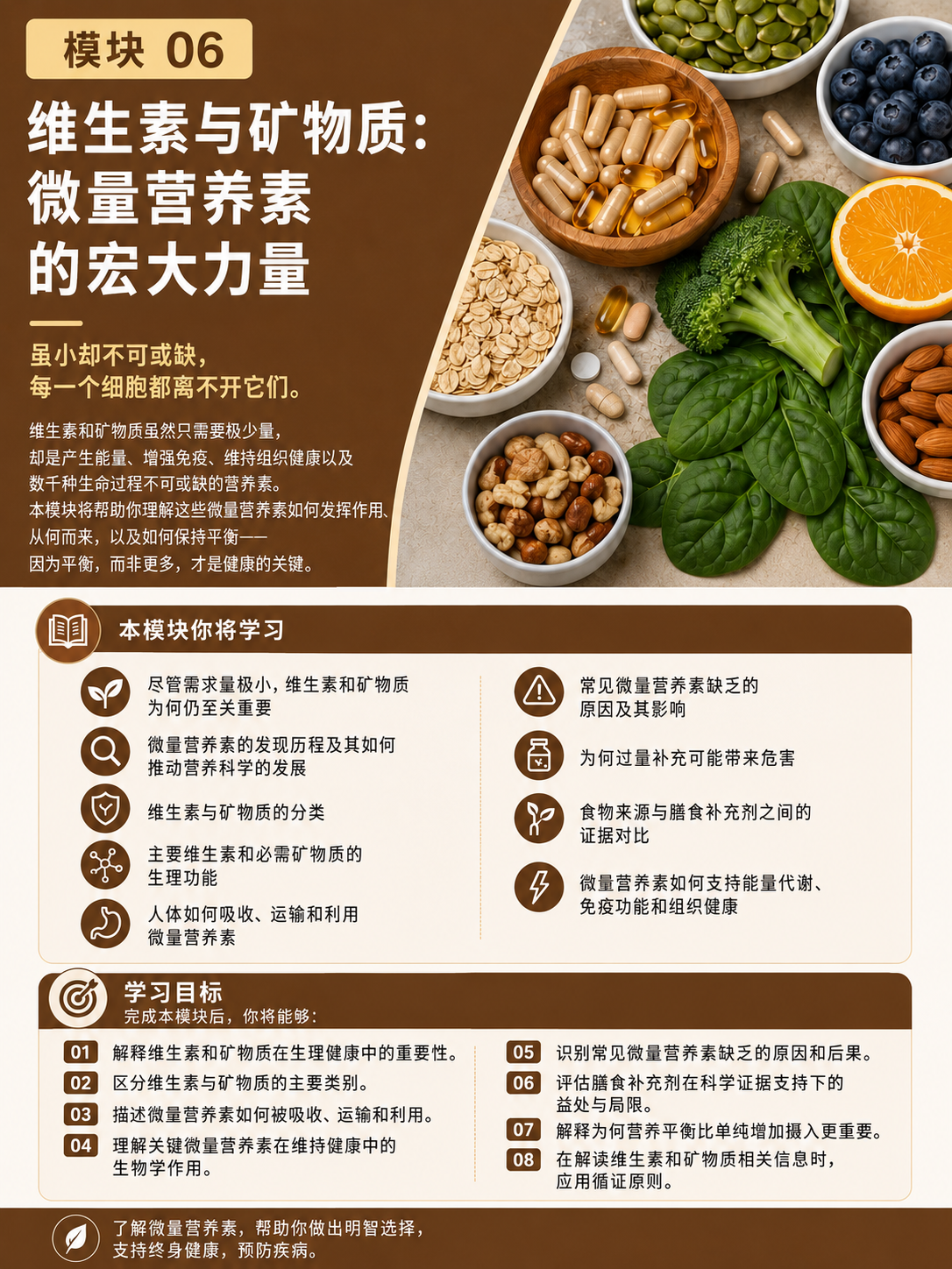模块 06:维生素与矿物质:微量需求,重要作用——简体中文课程概览