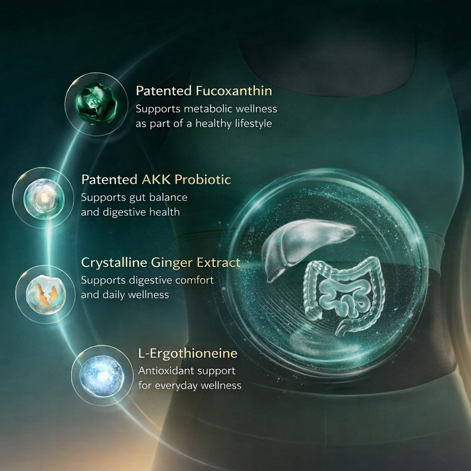 FineNutri® AKK 肝代谢平衡配方