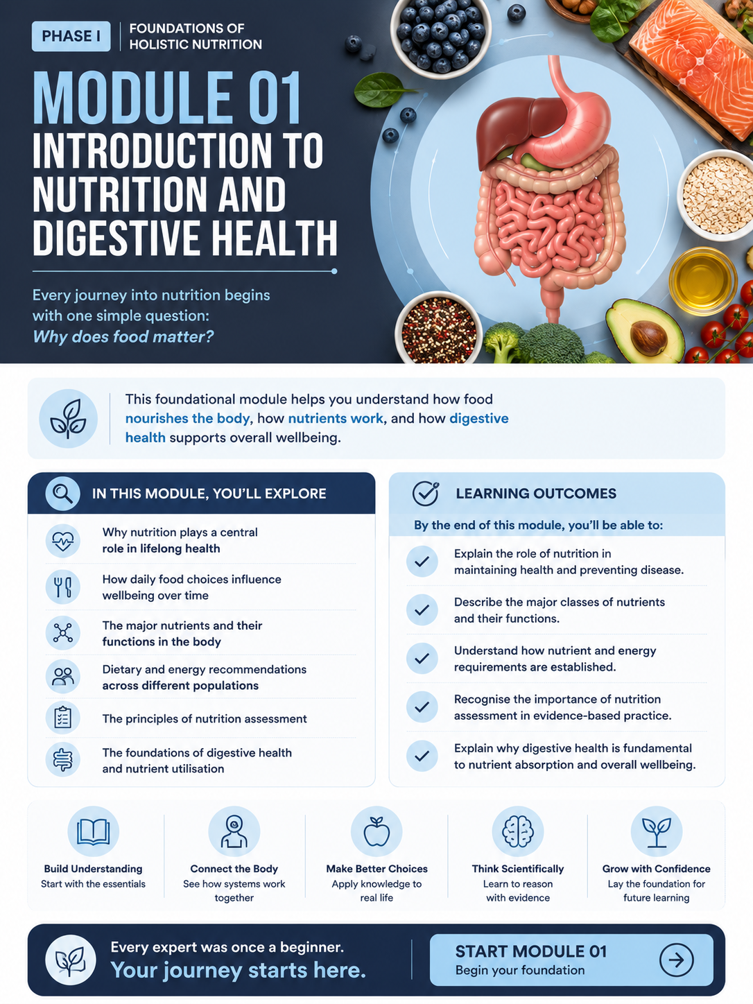Module 01: Introduction to Nutrition and Digestive Health — English course overview