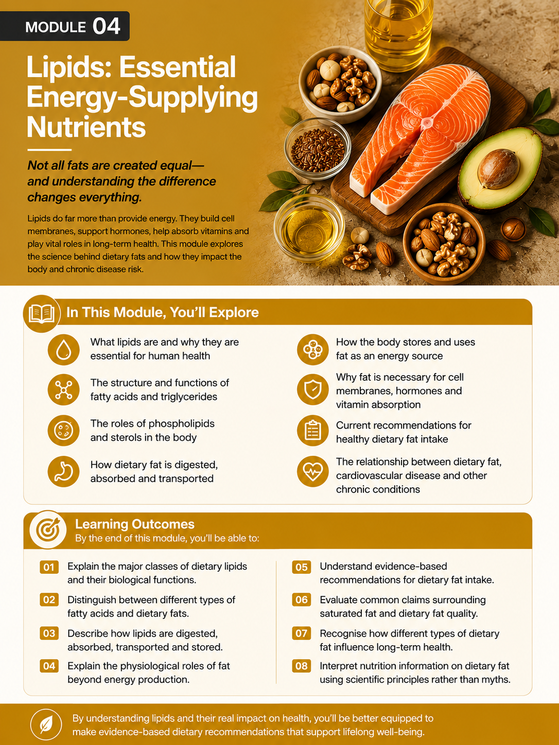 Module 04: Lipids: Essential Energy-Supplying Nutrients — English course overview