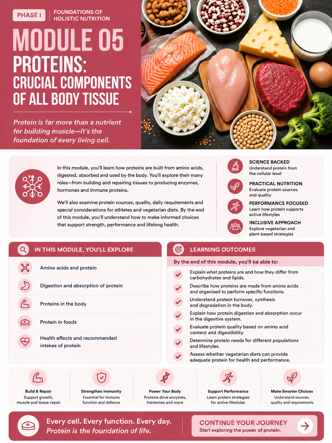 Module 05: Proteins: Crucial Components of All Body Tissue — English course overview