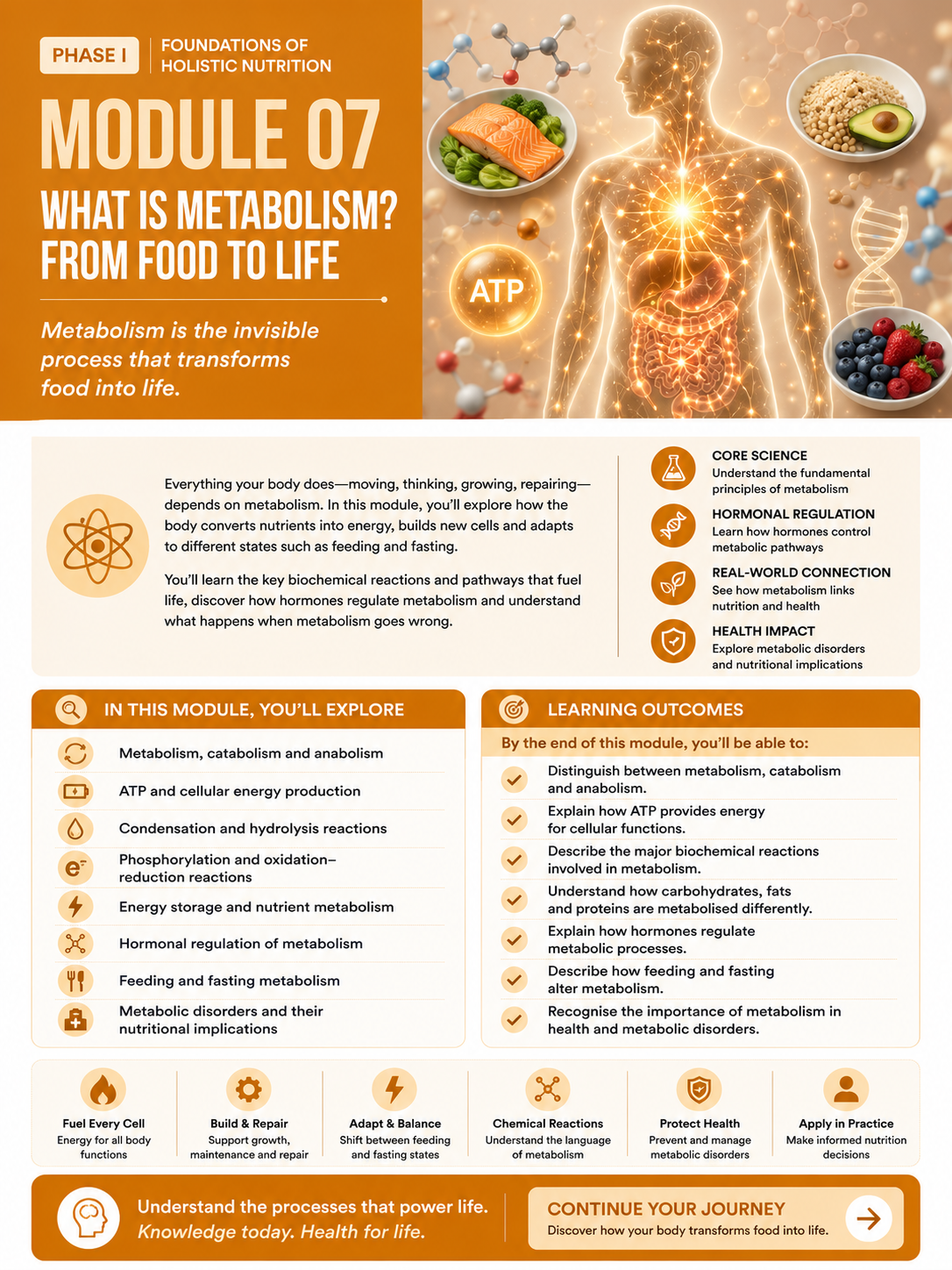 Module 07: What Is Metabolism? From Food to Life — English course overview