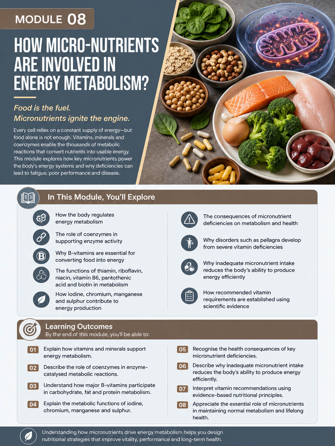 Module 08: How Micronutrients Drive Energy Metabolism — English course overview