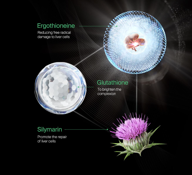 FineNutri® 女性肝脏净护 全效配方